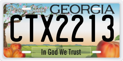 GA license plate CTX2213