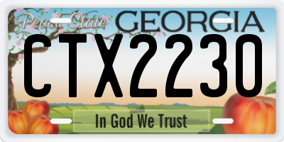 GA license plate CTX2230
