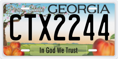 GA license plate CTX2244