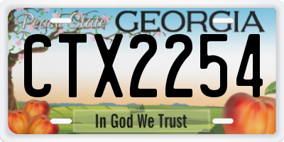 GA license plate CTX2254