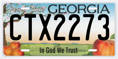 GA license plate CTX2273