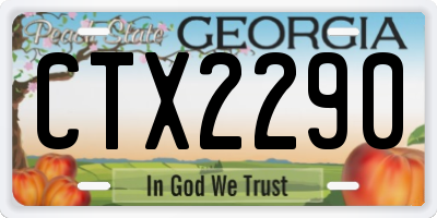 GA license plate CTX2290