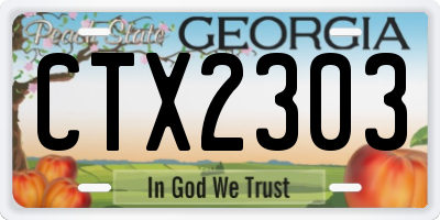 GA license plate CTX2303