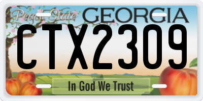 GA license plate CTX2309