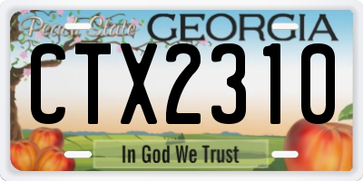 GA license plate CTX2310