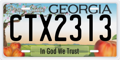 GA license plate CTX2313