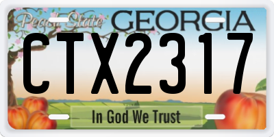 GA license plate CTX2317