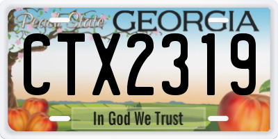 GA license plate CTX2319
