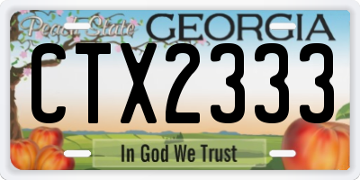 GA license plate CTX2333