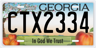 GA license plate CTX2334