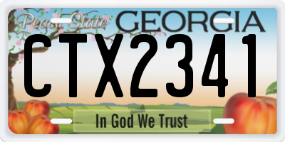 GA license plate CTX2341