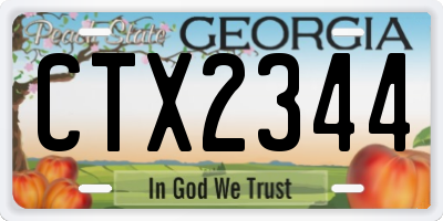 GA license plate CTX2344