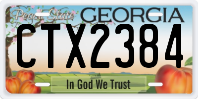 GA license plate CTX2384