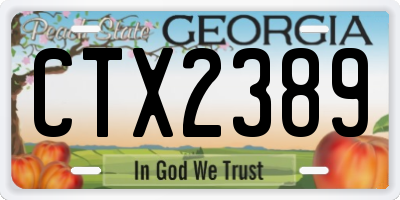 GA license plate CTX2389