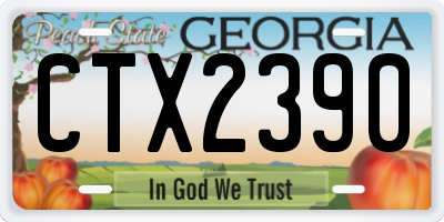 GA license plate CTX2390