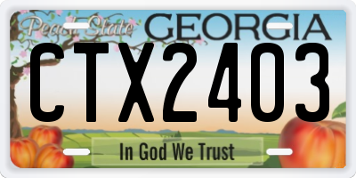 GA license plate CTX2403