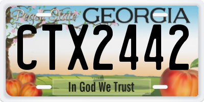 GA license plate CTX2442
