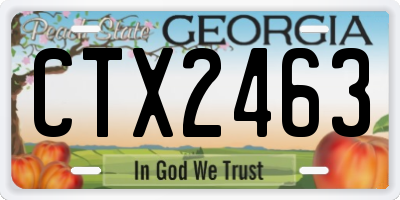 GA license plate CTX2463