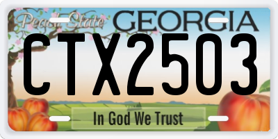 GA license plate CTX2503