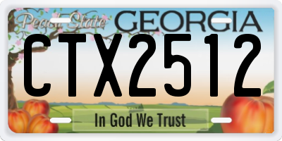 GA license plate CTX2512