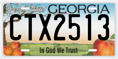 GA license plate CTX2513