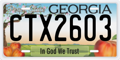 GA license plate CTX2603