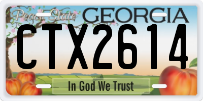GA license plate CTX2614