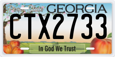 GA license plate CTX2733