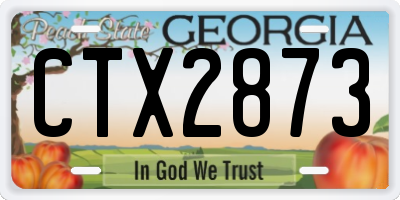 GA license plate CTX2873