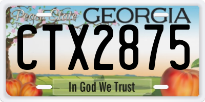 GA license plate CTX2875