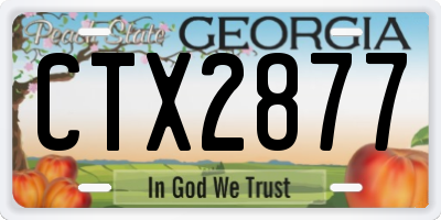 GA license plate CTX2877