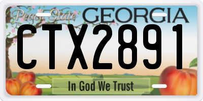 GA license plate CTX2891