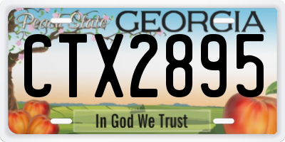 GA license plate CTX2895
