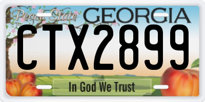 GA license plate CTX2899
