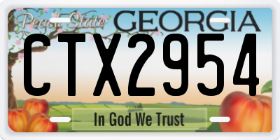 GA license plate CTX2954