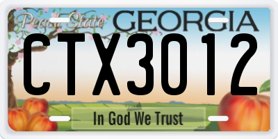 GA license plate CTX3012