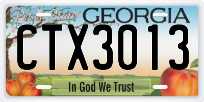 GA license plate CTX3013