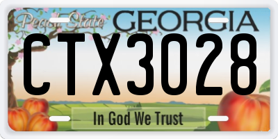 GA license plate CTX3028