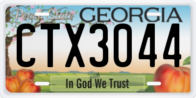 GA license plate CTX3044