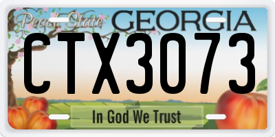 GA license plate CTX3073