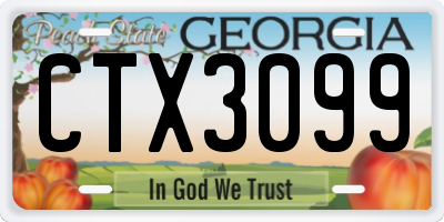 GA license plate CTX3099