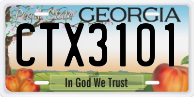 GA license plate CTX3101