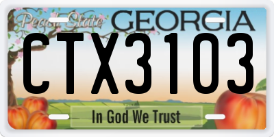 GA license plate CTX3103