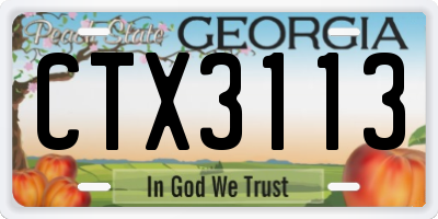 GA license plate CTX3113