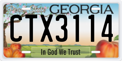 GA license plate CTX3114