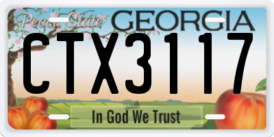 GA license plate CTX3117