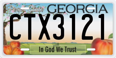 GA license plate CTX3121