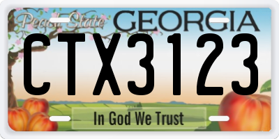 GA license plate CTX3123