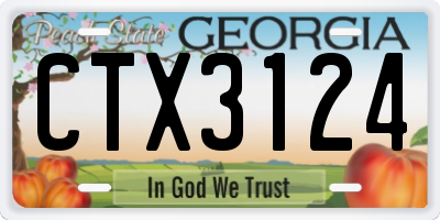 GA license plate CTX3124