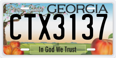 GA license plate CTX3137